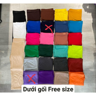 FREESIZE Quần lửng dưới gối legging thun thái lan (hàng RAINBOW)