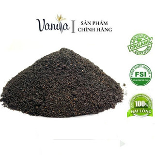 Hạt Vanilla Đã Chiết Xuất