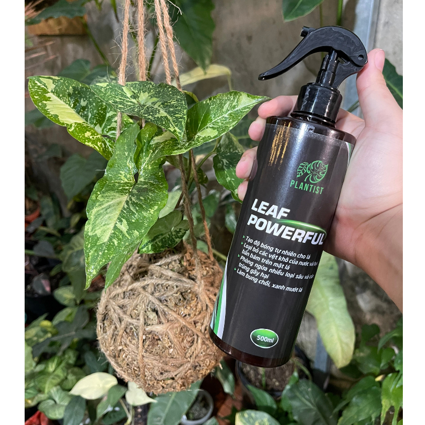 Chế Phẩm PLANTIST - LEAF POWERFUL 500ML - Xịt bóng lá, dưỡng lá giúp cây xanh tươi, phòng sâu bệnh cho mọi cây trồng