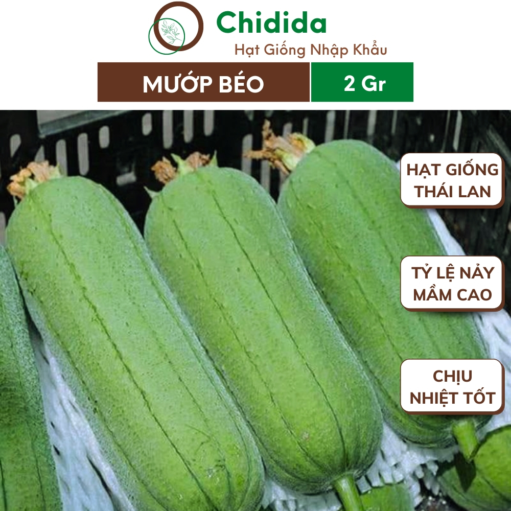 Hạt giống mướp béo Chidida giống mướp Thái Lan sinh trưởng mạnh dễ trồng thu hoạch quanh năm gói 2g