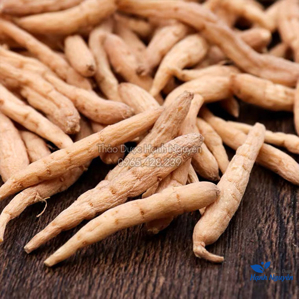 Sâm đất  500g - Thảo dược hạnh nguyên