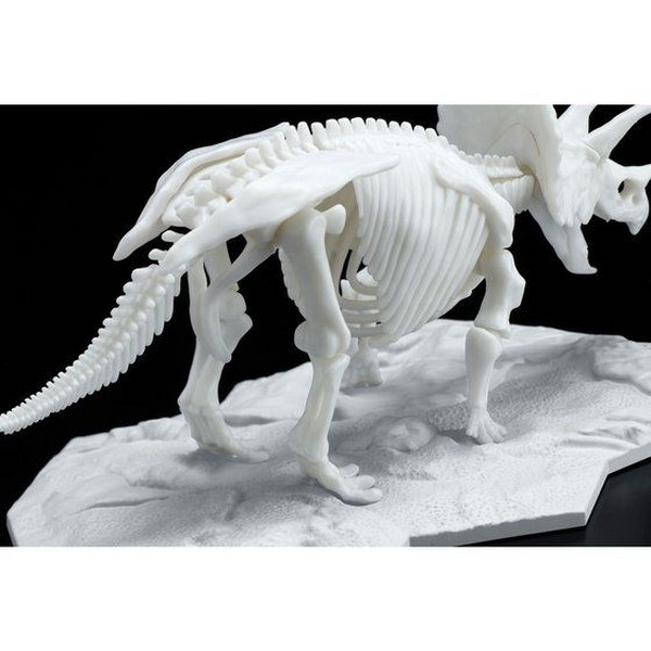 Mô Hình Lắp Ráp Bandai Dinosaur Model Kit Limex Skeleton Triceratops 4573102616609 (Plastic Model)