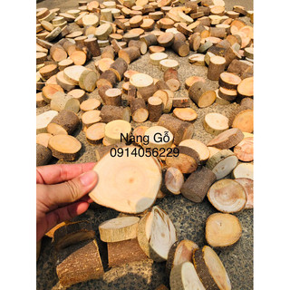 Lát gỗ tự nhiên/ Khoanh gỗ tròn