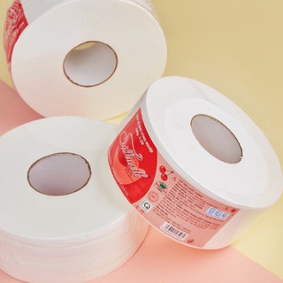 Giấy vệ sinh cuộn lớn 500gr silkwell