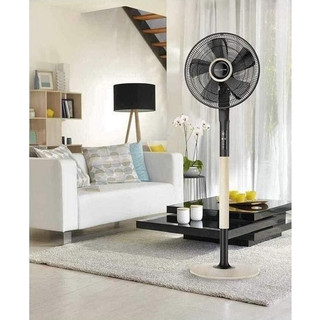 Quạt cây rowenta vu5870 vu5880 vu5840, quạt cây rowenta điều khiển từ xa, nhập đức