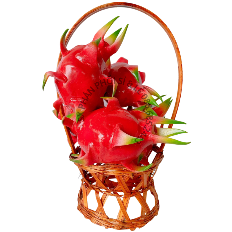 Combo sỉ 20 Trái Giả Trái Thanh Long (12x20 cm) mô hình Việt Nam công nghệ Thái Lan