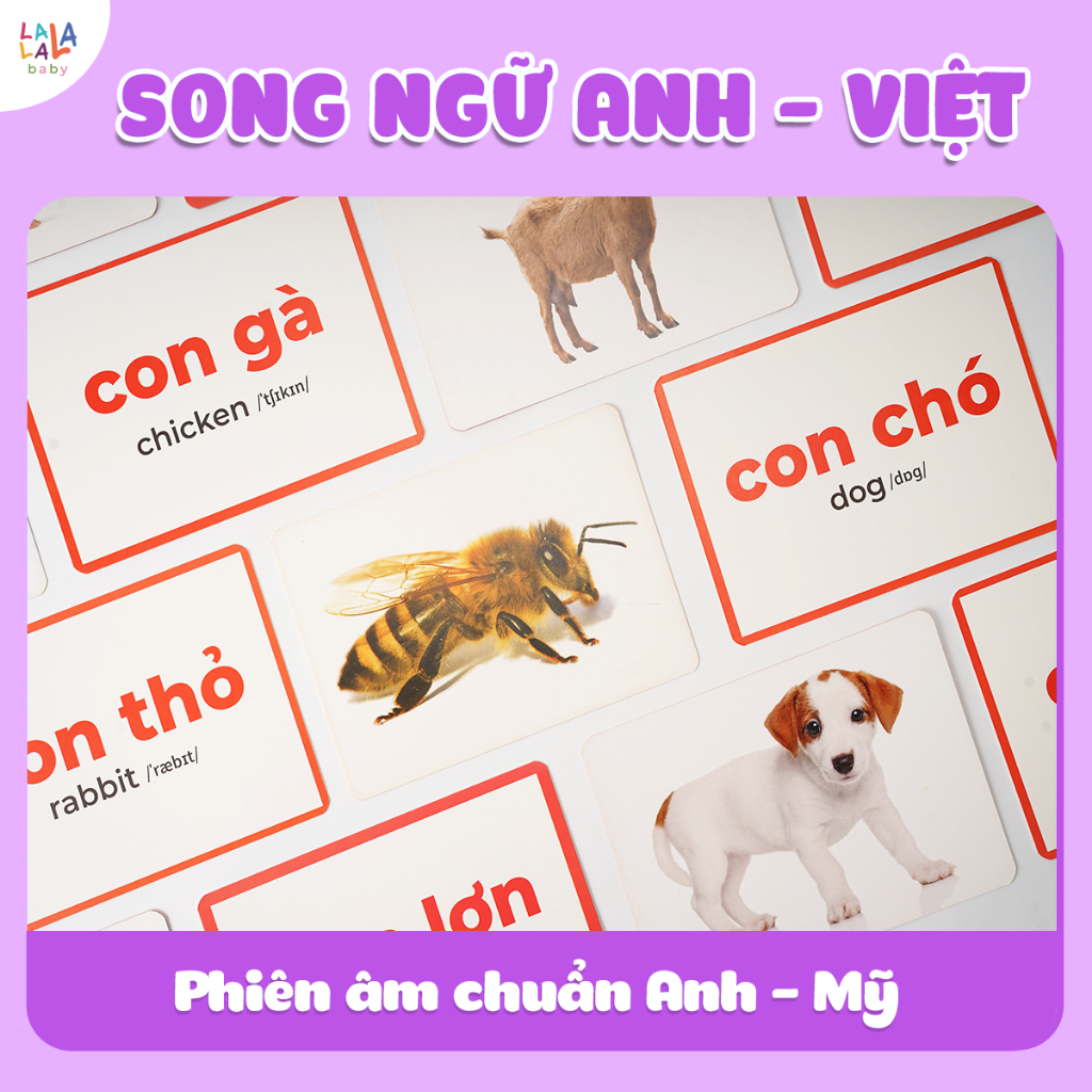 Bộ thẻ học thông minh Flashcard cho bé chuẩn Glenn Doman giáo giục sớm Lalala baby song ngữ Anh Việt