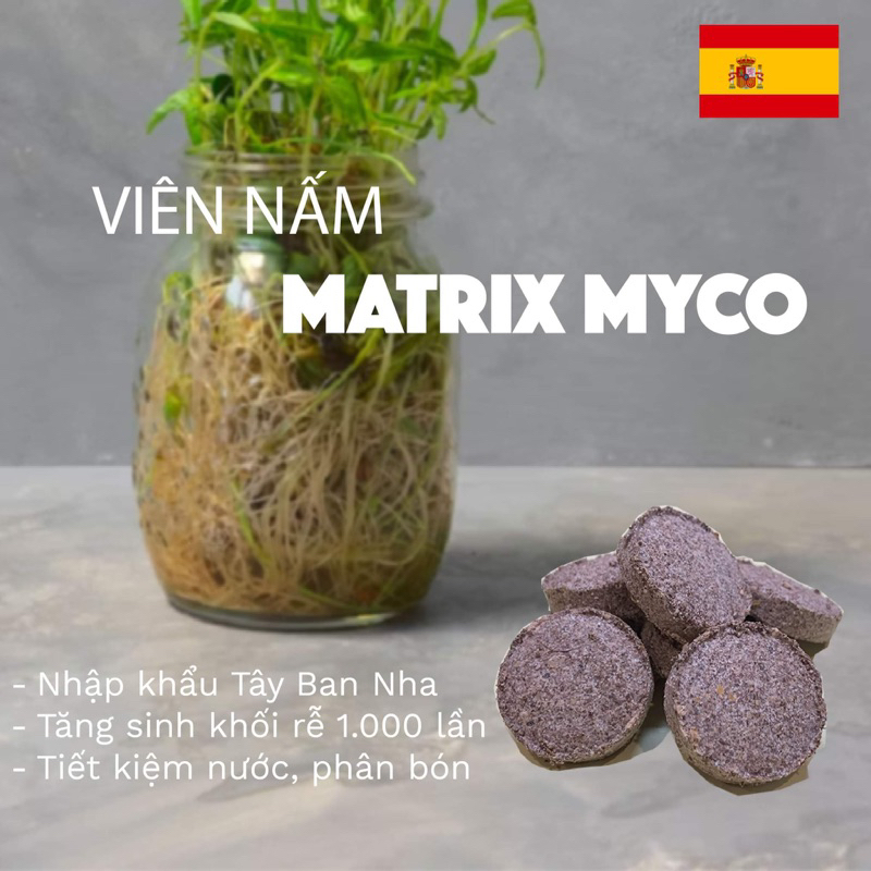 Viên Nấm Rễ cộng sinh Matrix Myco Tây Ban nha