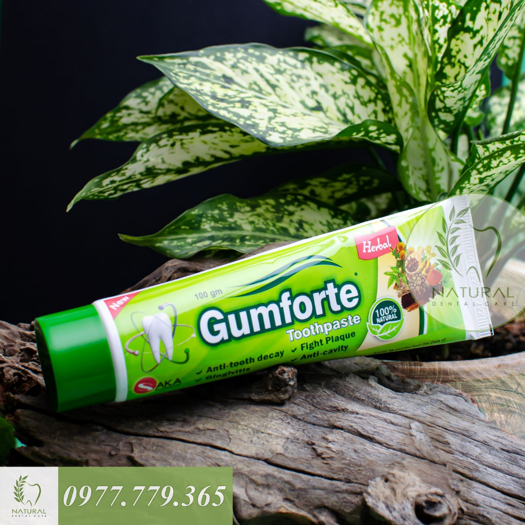 Kem Đánh Răng Thảo Dược GUMFORTE Herbs Toothpaste - Bảo Vệ Nướu, Chắc Chân Răng, Ngừa Nhiệt Miệng | BigBuy360 - bigbuy360.vn