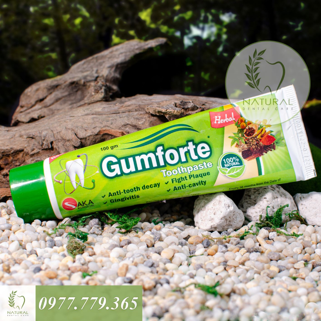 Kem Đánh Răng Thảo Dược GUMFORTE Herbs Toothpaste - Bảo Vệ Nướu, Chắc Chân Răng, Ngừa Nhiệt Miệng | BigBuy360 - bigbuy360.vn