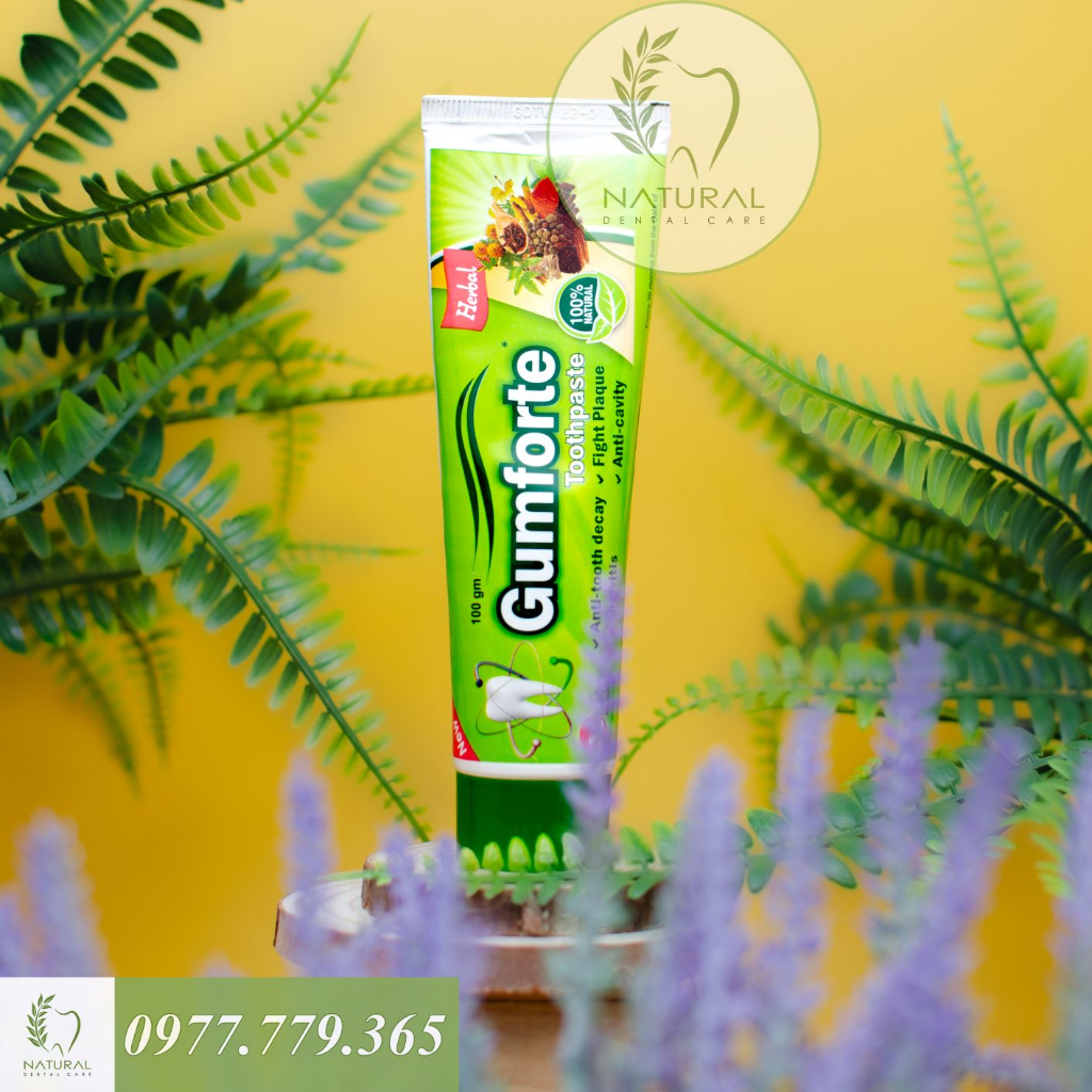 Kem Đánh Răng Thảo Dược GUMFORTE Herbs Toothpaste - Bảo Vệ Nướu, Chắc Chân Răng, Ngừa Nhiệt Miệng | BigBuy360 - bigbuy360.vn