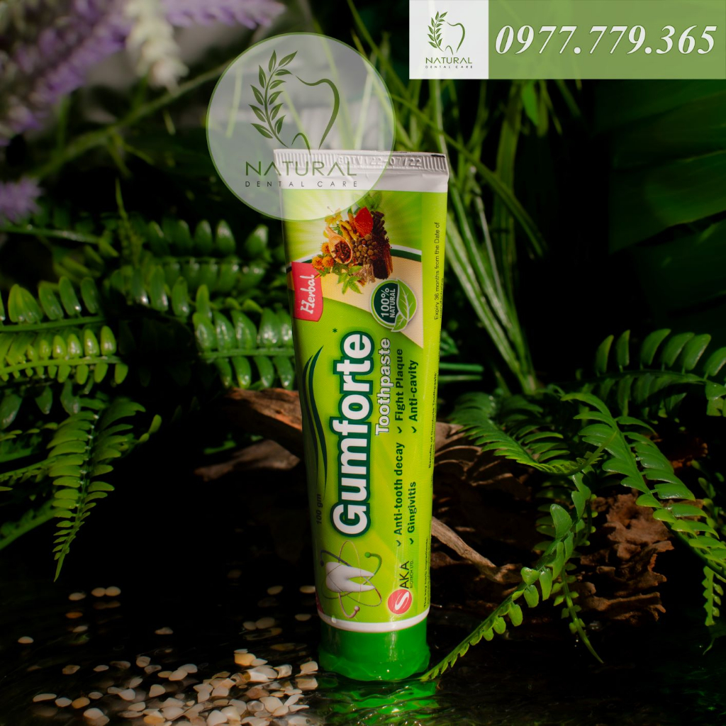 Kem Đánh Răng Thảo Dược GUMFORTE Herbs Toothpaste - Bảo Vệ Nướu, Chắc Chân Răng, Ngừa Nhiệt Miệng | BigBuy360 - bigbuy360.vn