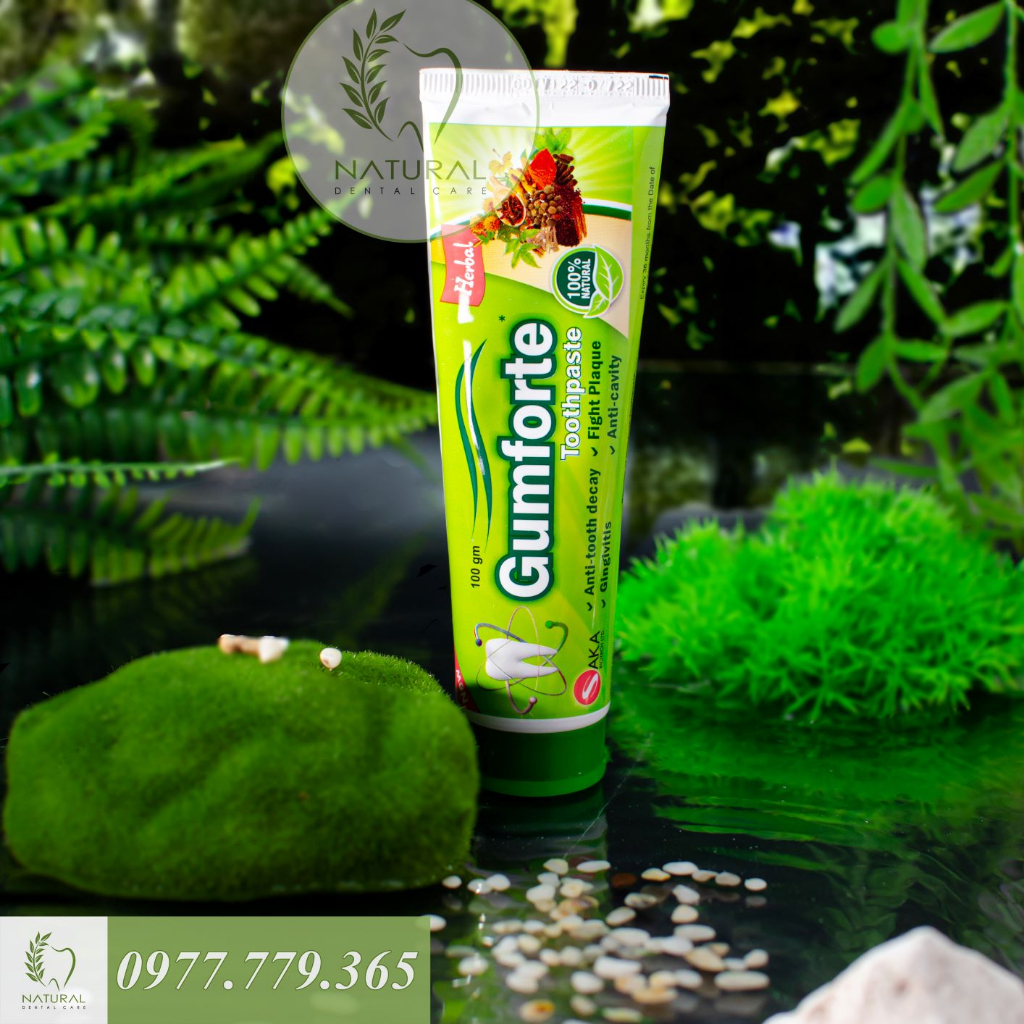 Kem Đánh Răng Thảo Dược GUMFORTE Herbs Toothpaste - Bảo Vệ Nướu, Chắc Chân Răng, Ngừa Nhiệt Miệng | BigBuy360 - bigbuy360.vn