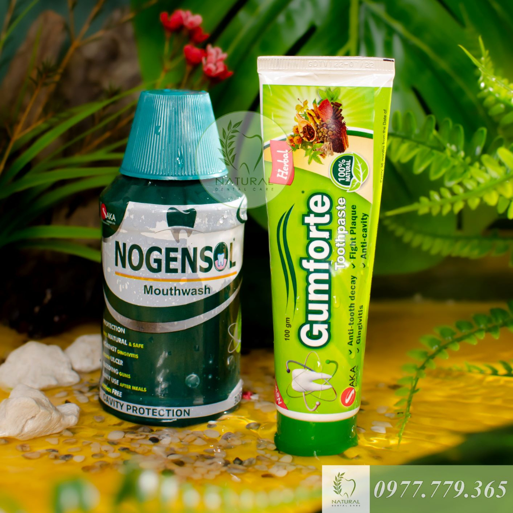Bộ Đôi Chăm Sóc Răng Miệng Hiệu Quả: Nước Súc Miệng NOGENSOL & Kem Đánh Răng GUMFORTE