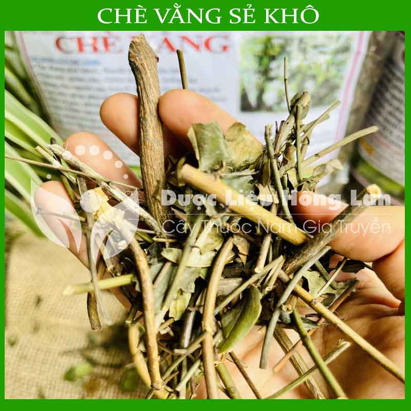 Thảo dược CHÈ VẰNG SẺ khô loại 1 đóng gói 500g - congtyduoclieuhonglan