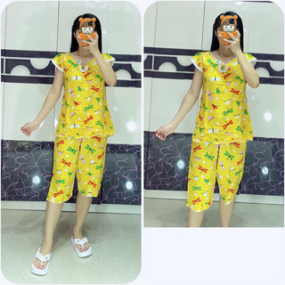 Tole lửng cánh tiên