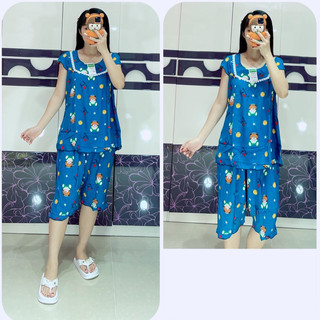 TOLE LỬNG CÁNH TIÊN