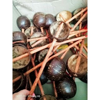 Gáo dừa dưỡng sinh