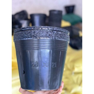 1 kg Chậu bầu bát dẻo trồng cây
