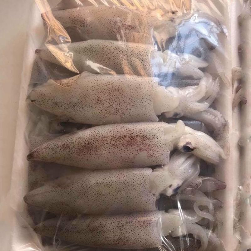 Mực trứng size lớn 15 đến 20 con 1kg (Giao hoả tốc tphcm)