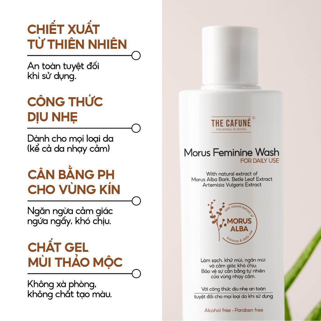 Dung Dịch Vệ Sinh Phụ Nữ Morus Feminine Wash The Cafuné, Chiết Xuất Dâu Tằm, Dưỡng Ẩm, Ngăn Mùi, Ngừa Khuẩn 225ml