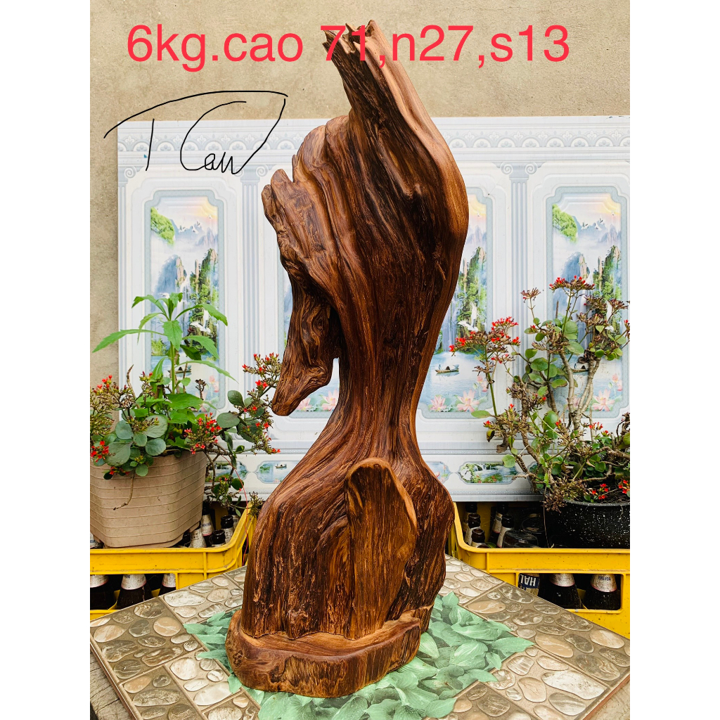 lũa ngọc am đỏ hà giang