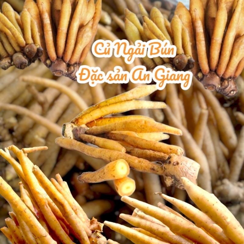 Củ ngải bún tươi - An Giang- Nấu bún cá, bún mắm