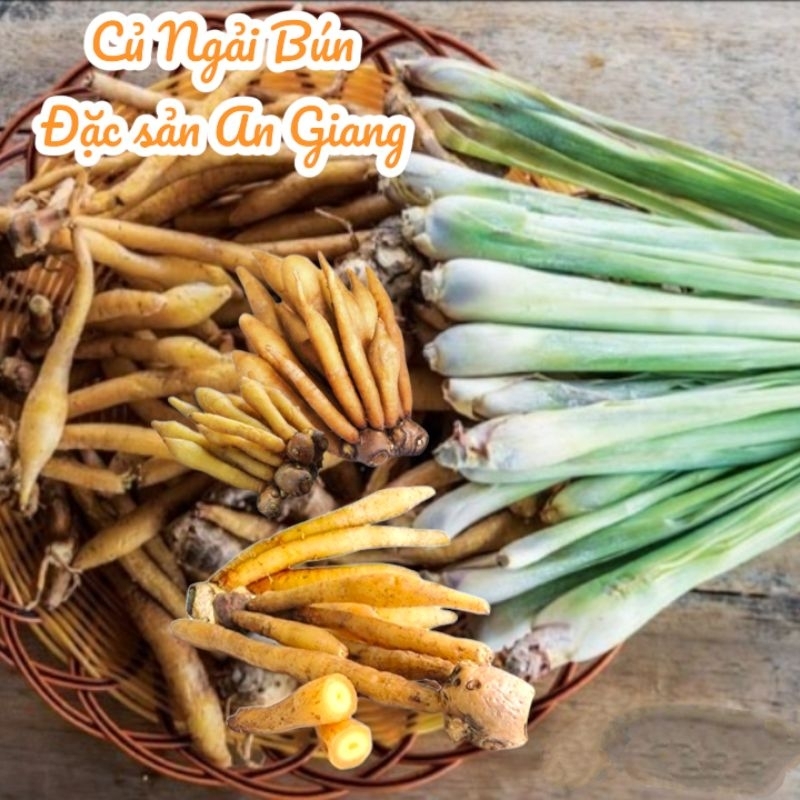 Củ ngải bún tươi - An Giang- Nấu bún cá, bún mắm