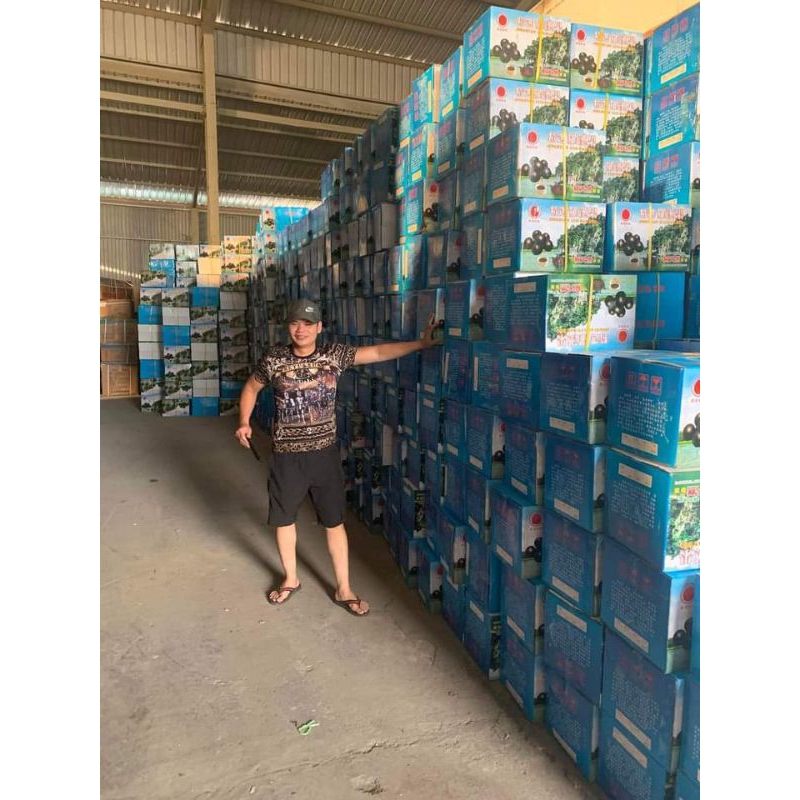 LA HÁN QUẢ TRÁI TO  TRÁI LA HÁN NẤU NƯỚC SÂM