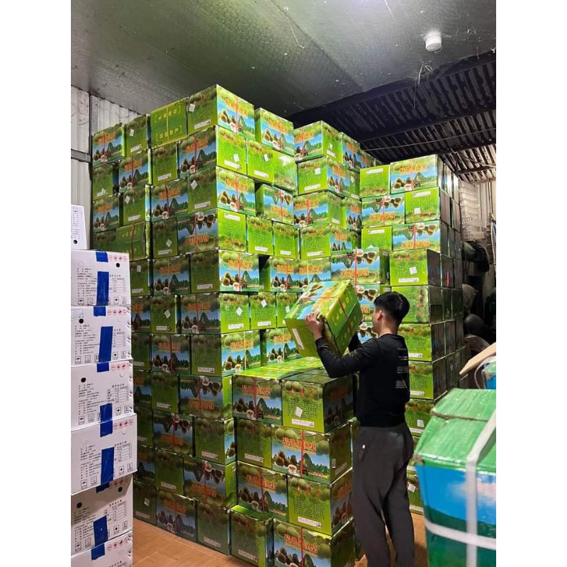 LA HÁN QUẢ TRÁI TO  TRÁI LA HÁN NẤU NƯỚC SÂM