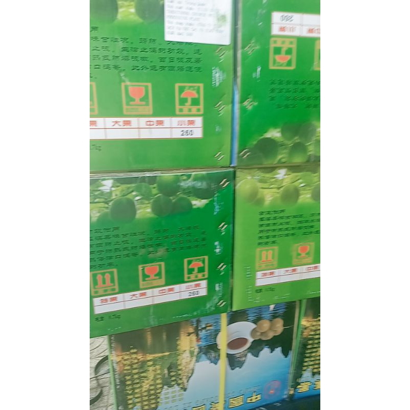 LA HÁN QUẢ TRÁI TO  TRÁI LA HÁN NẤU NƯỚC SÂM