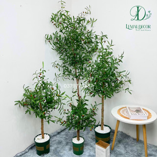 Cây Oliu, ô Liu giả decor trang trí thân gỗ, thân nhựa (Kèm chậu nhựa và sỏi trắng)
