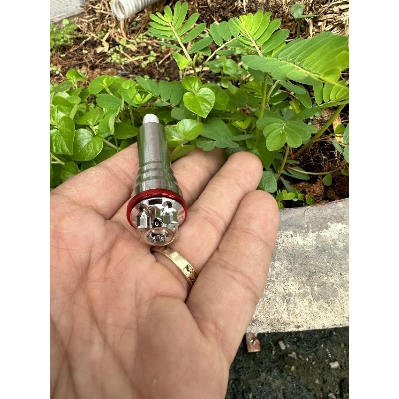 Khâu baga mũi Dream kèm ốc Salaya tặng  long đền đỏ