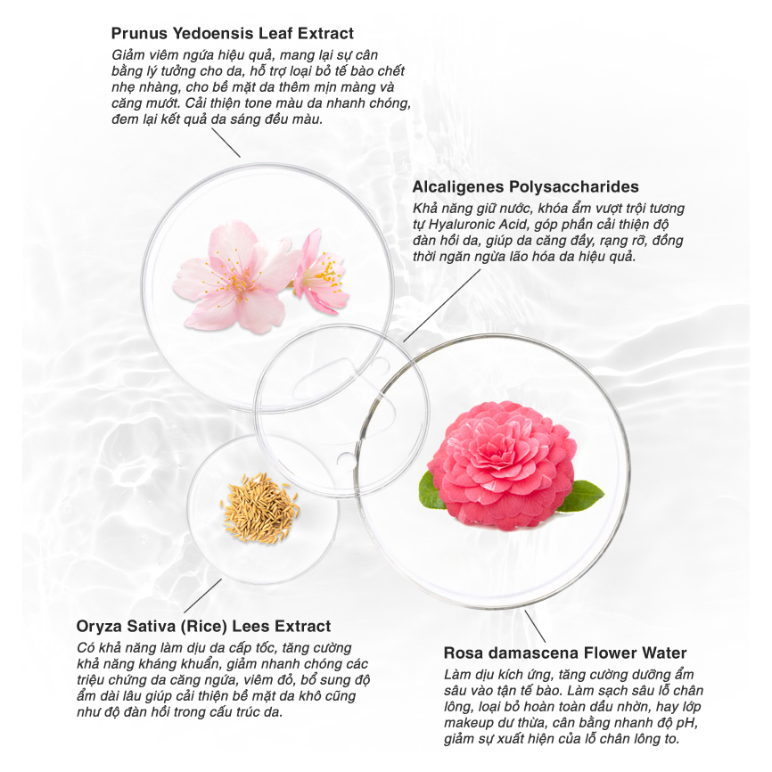 Nước hoa hồng cân bằng da Sakura Balancing Toner 200ml