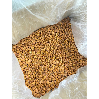 Hạt thông 500g