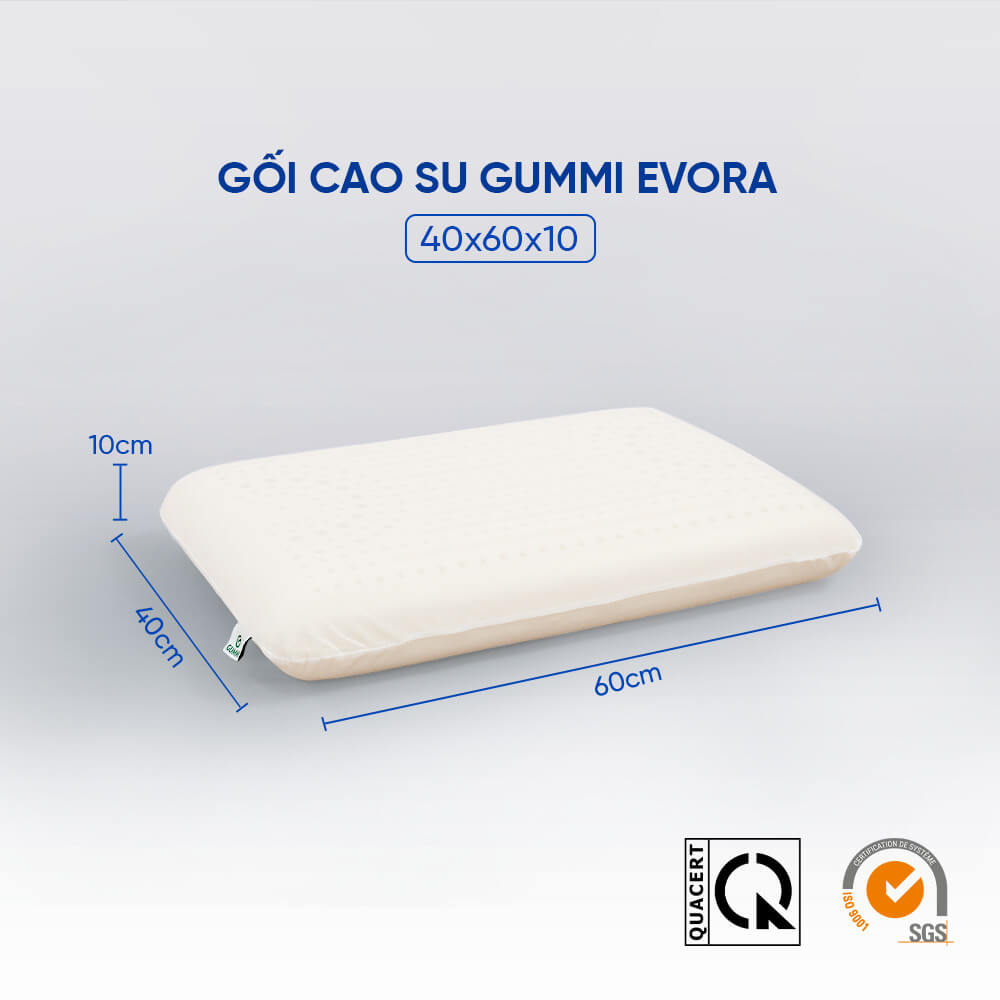 Gối Cao su Gummi Evora