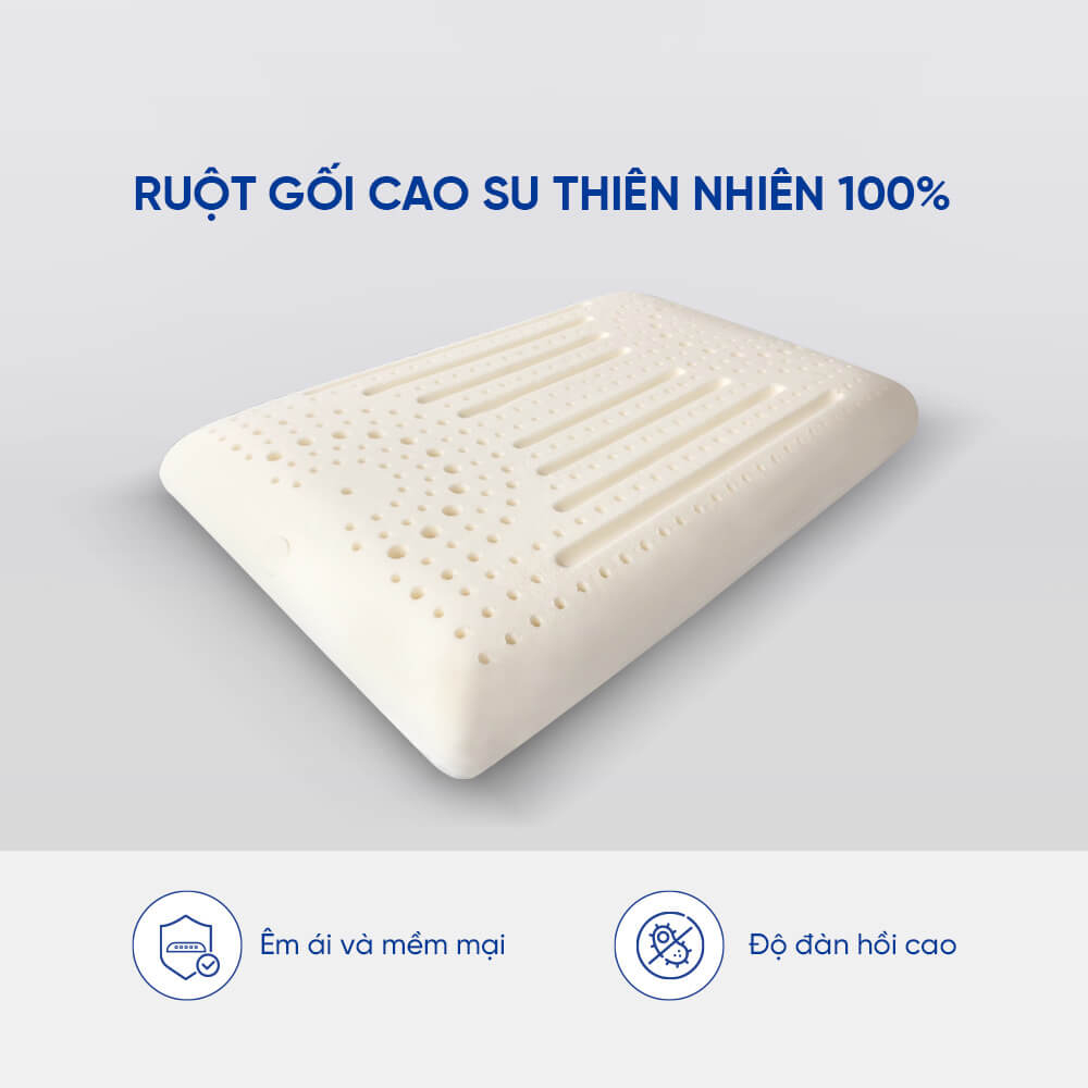 Gối Cao su Gummi Evora