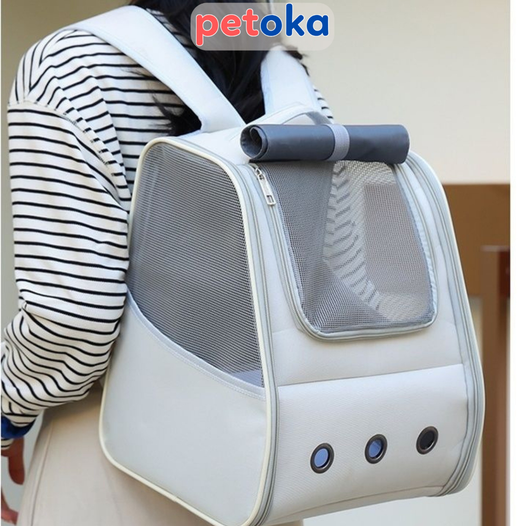 Balo cho mèo thú cưng size lớn Hello Cat Petoka BL 02