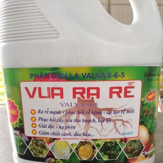 Phân bón ra rễ valva