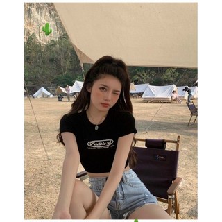 Áo thun croptop in chữ, chất thun borip dày đẹp