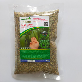 Hạt giống cỏ ghine sông mun gói 100g - mun river