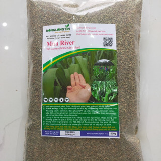 Hạt giống cỏ tân ghine sông mun gói 500g - mun river