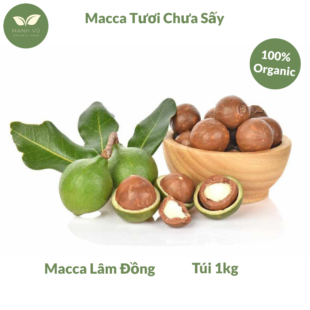 Hạt Macca tươi chưa sấy - mắc ca sạch Lâm Đồng