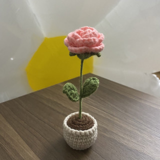 Chậu Len Mini Xinh Xắn Bằng Len