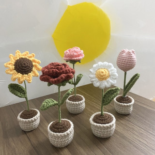 Chậu Len Mini Xinh Xắn Bằng Len