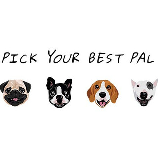 [Hình ủi, ép nhiệt] Hình chó Pug và Bull P2