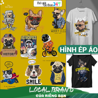 Hình chó pug và bull p3