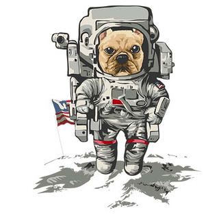 [Hình ủi, ép nhiệt] Hình chó Pug và Bull P3