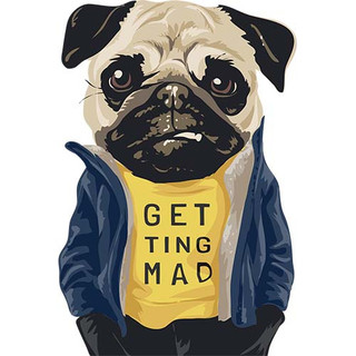 [Hình ủi, ép nhiệt] Hình chó Pug và Bull P3