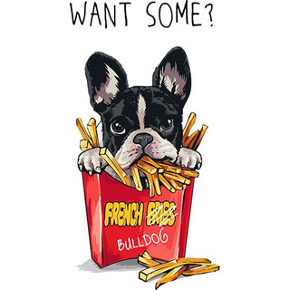 [Hình ủi, ép nhiệt] Hình chó Pug và Bull P5
